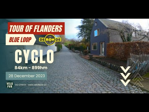 Tour Of Flanders Blue Loop - Racing bike tour with memorable #COBBEL climbs