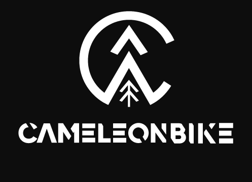 Bicicleta Cameleon L