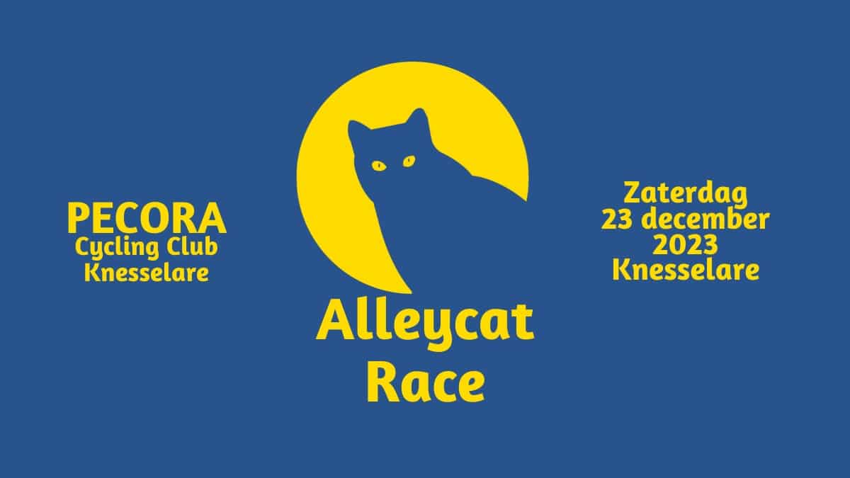 Alleycat Race
