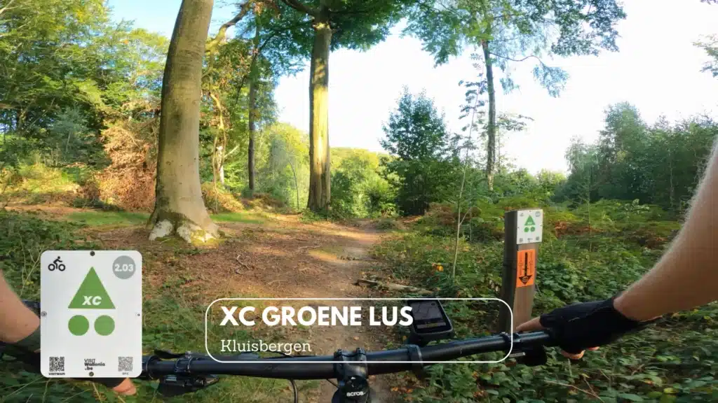 XC groene lus kluisbergen - MTB rit Kluisbos